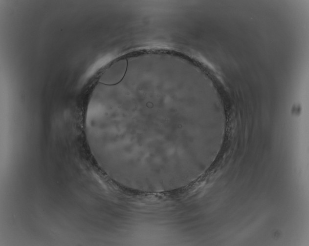X0000093141255200709261417