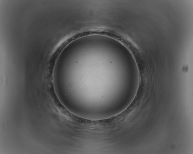 X0000093141256200709261417