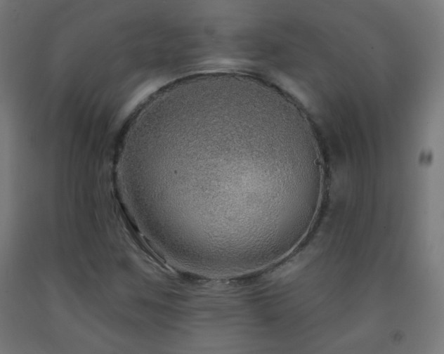 X0000093141259200709261417