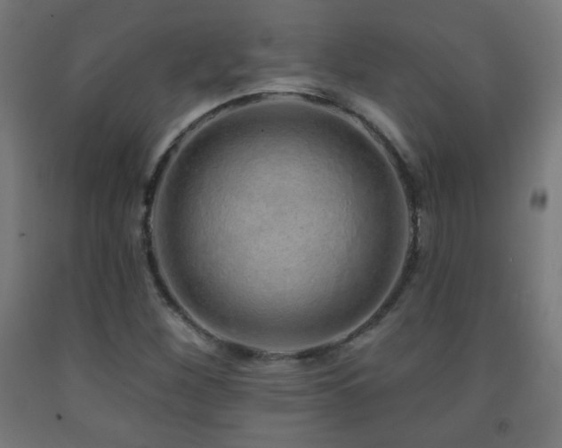 X0000093141260200709261417