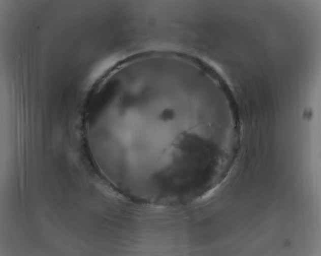 X0000093141263200709261417