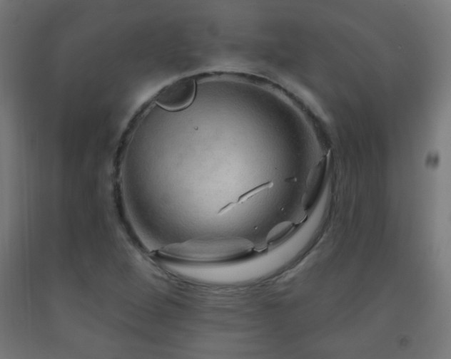 X0000093141264200709261417