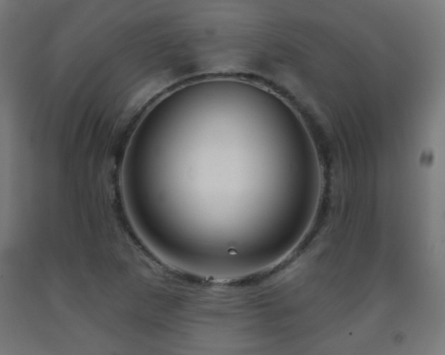 X0000093141265200709261417