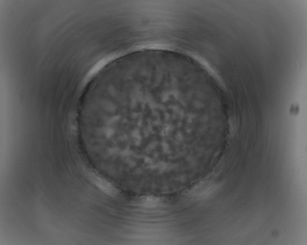 X0000093141266200709261417