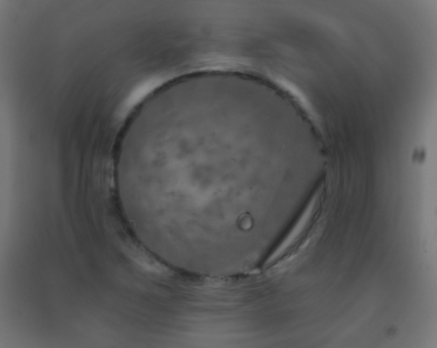 X0000093141267200709261417