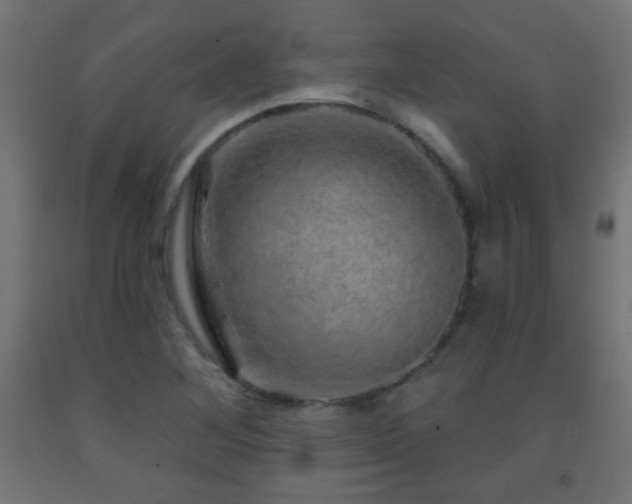 X0000093141268200709261417