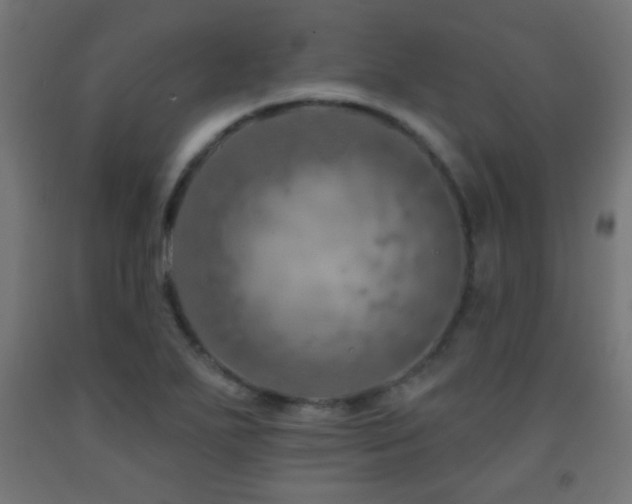 X0000093141271200709261417