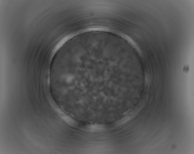X0000093141274200709261417
