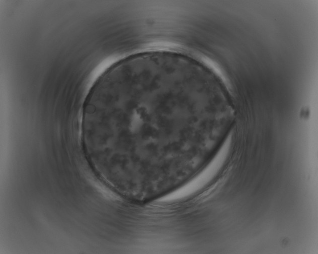 X0000093141275200709261417
