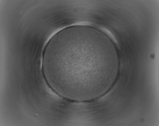 X0000093141276200709261417