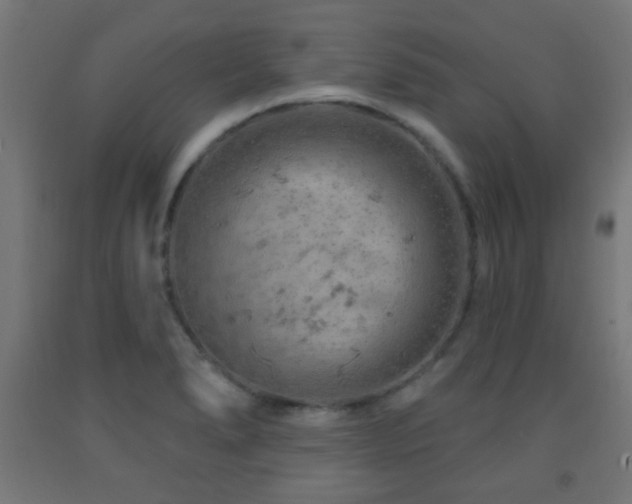 X0000093141278200709261417