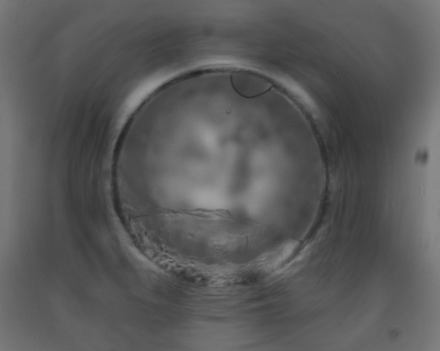 X0000093141279200709261417