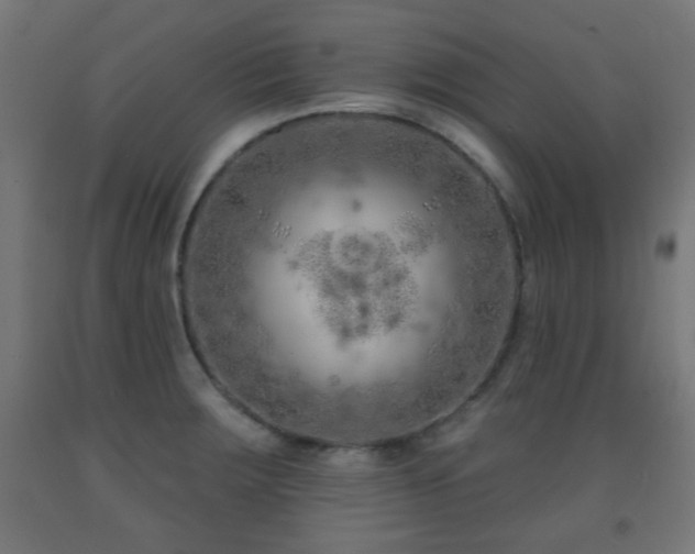 X0000093141283200709261417