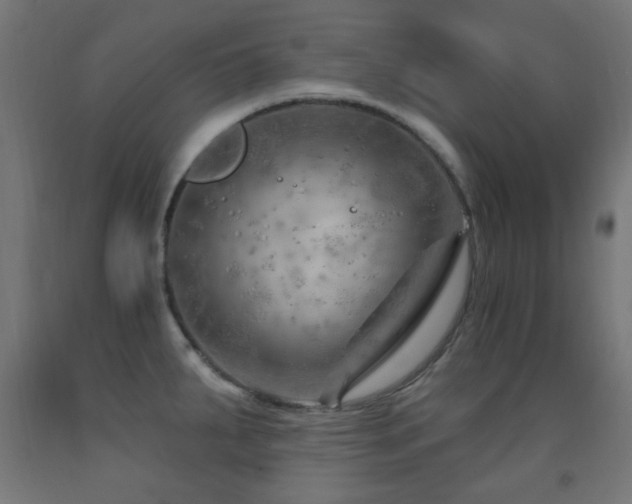 X0000093141287200709261417