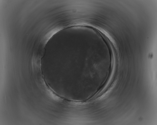 X0000093141289200709261417