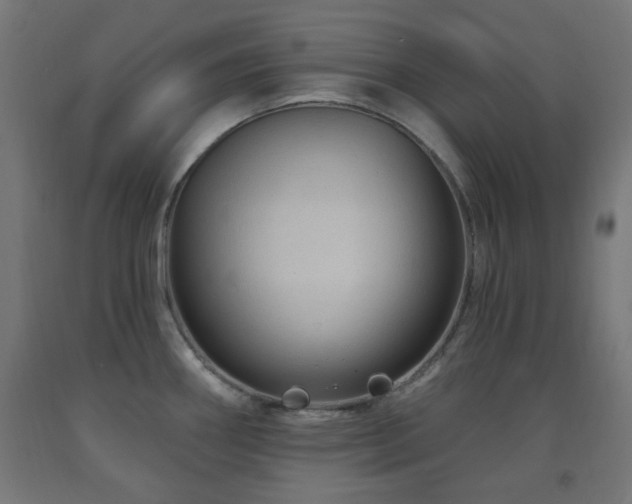 X0000093141290200709261417