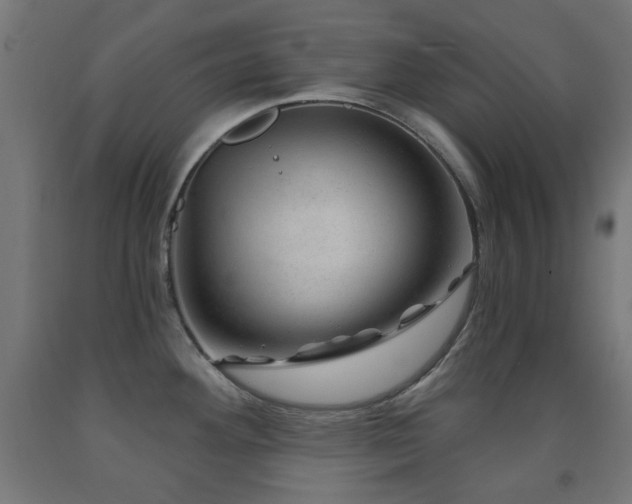 X0000093141292200709261417