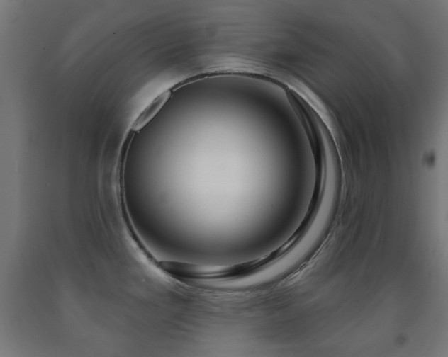 X0000093141293200709261417