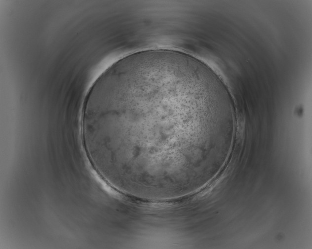 X0000093141294200709261417