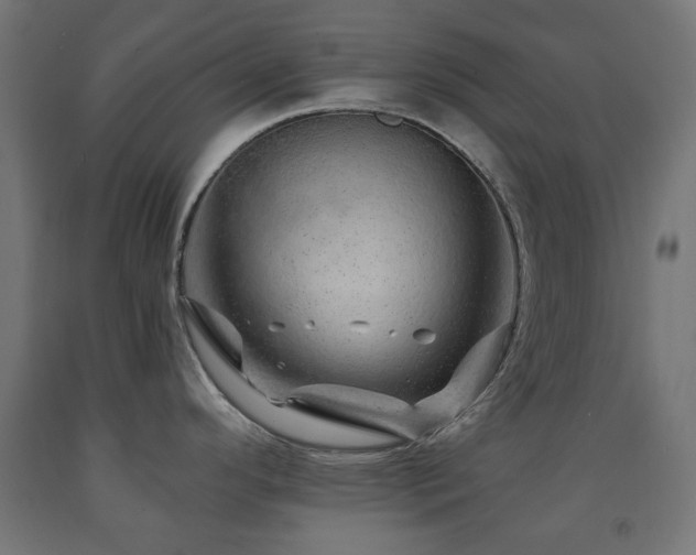 X0000093141296200709261417