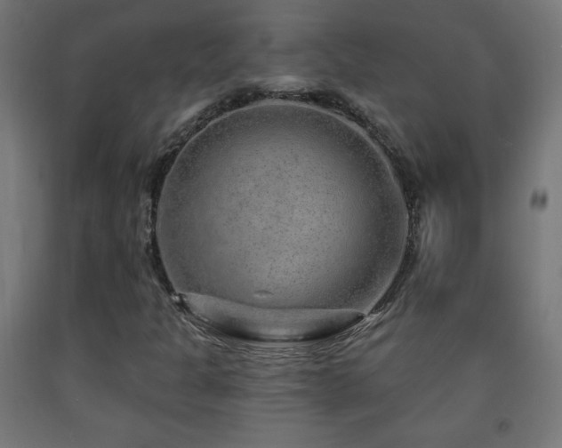 X0000093141301200709261416