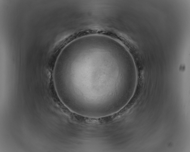 X0000093141302200709261416