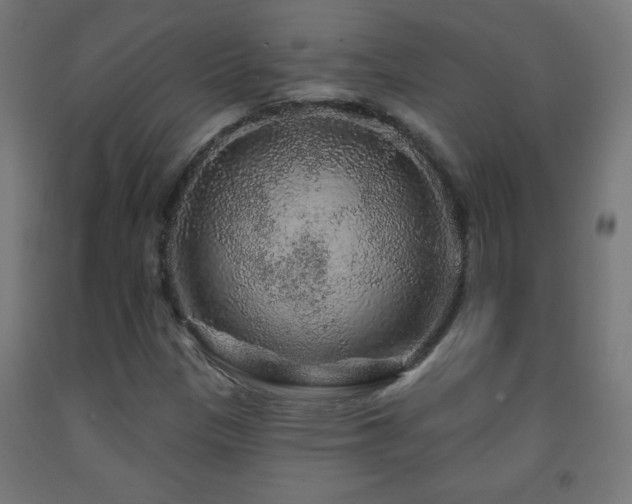X0000093141305200709261416