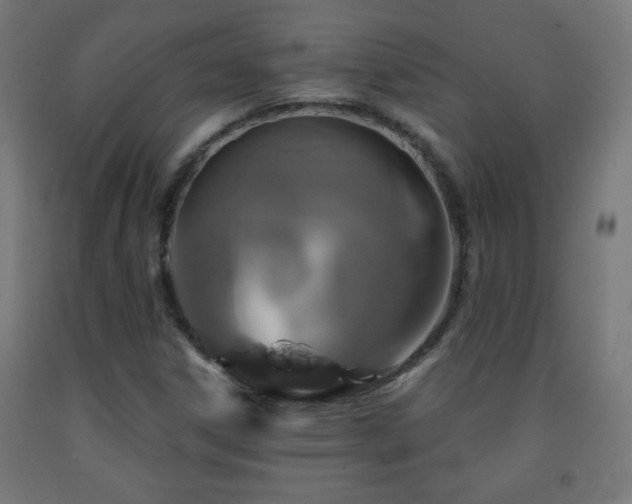 X0000093141306200709261416