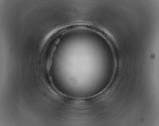 X0000093141310200709261416