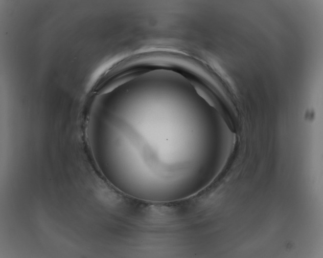 X0000093141312200709261416
