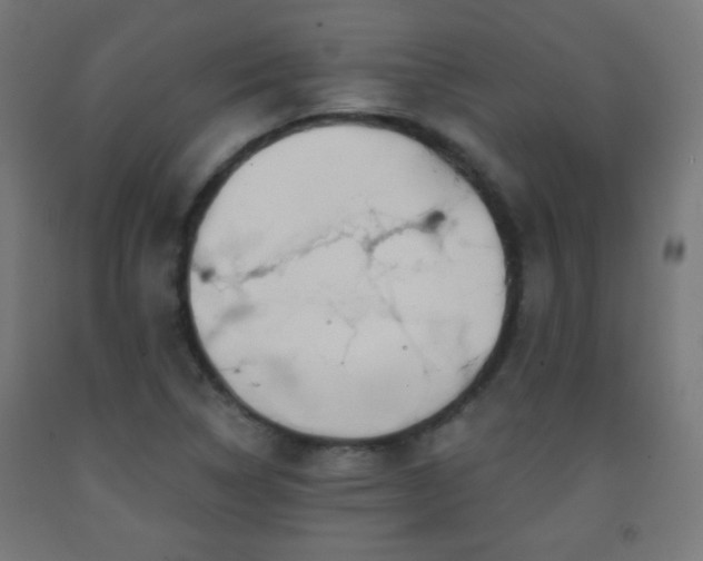 X0000093141314200709261416