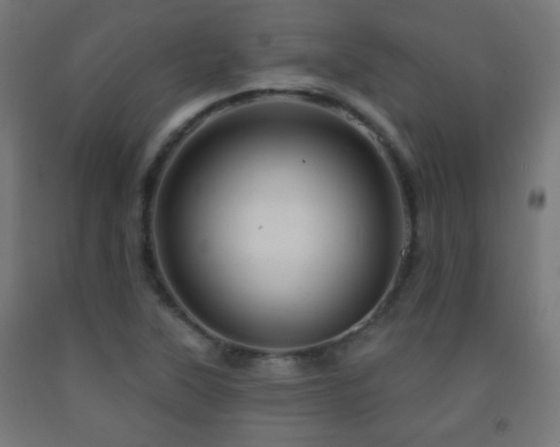 X0000093141315200709261416