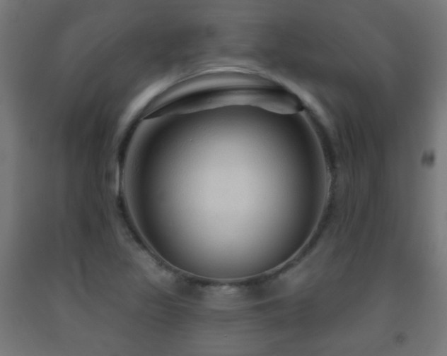 X0000093141317200709261416