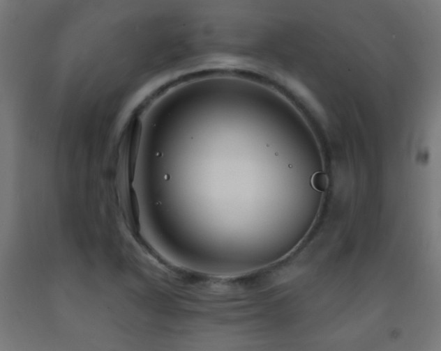X0000093141318200709261416