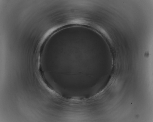 X0000093141323200709261416