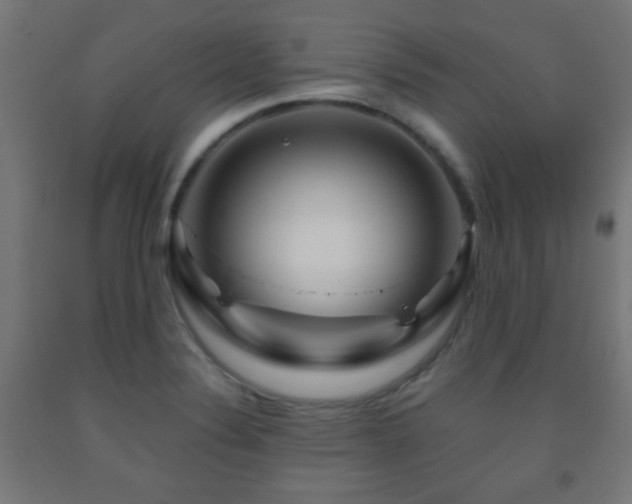 X0000093141324200709261416