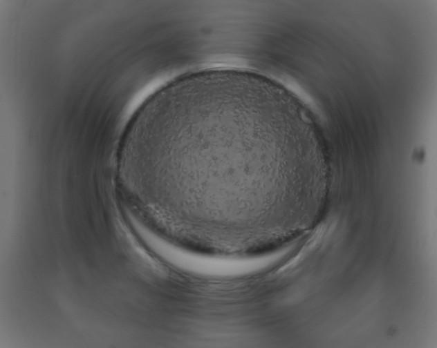 X0000093141325200709261416