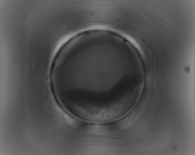 X0000093141327200709261416