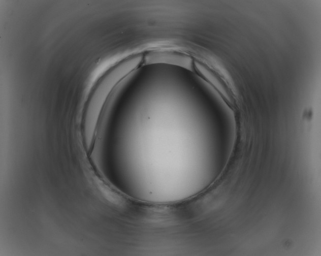 X0000093141328200709261416
