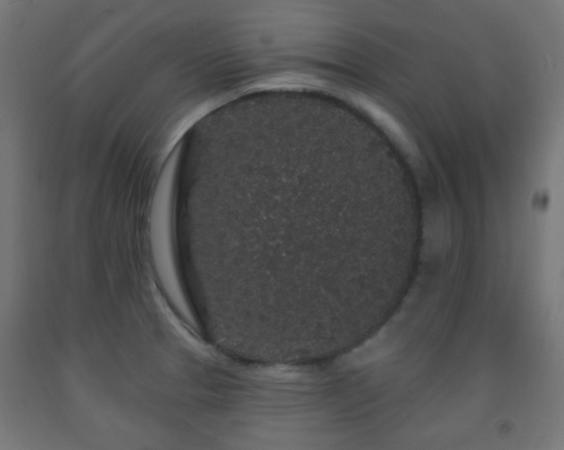 X0000093141329200709261416