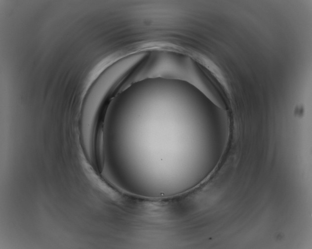 X0000093141330200709261416