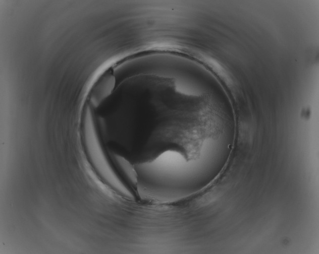 X0000093141331200709261417