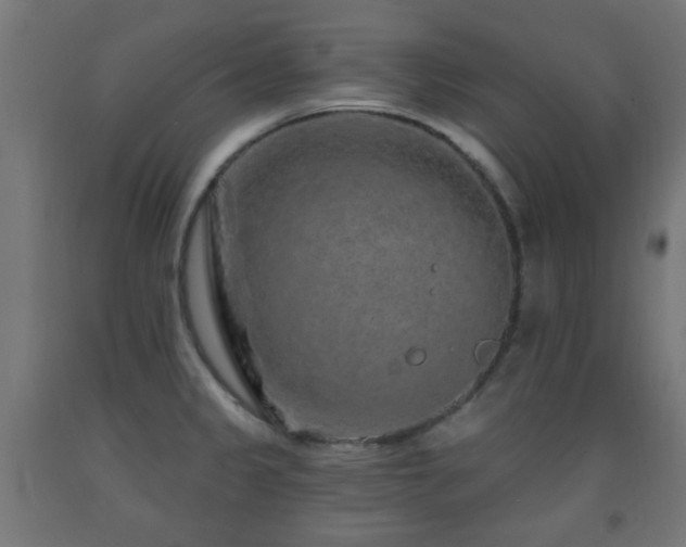 X0000093141333200709261417