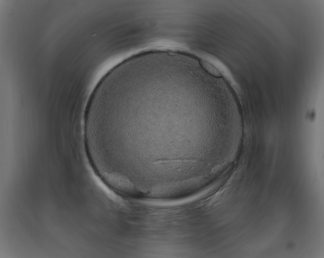 X0000093141335200709261417