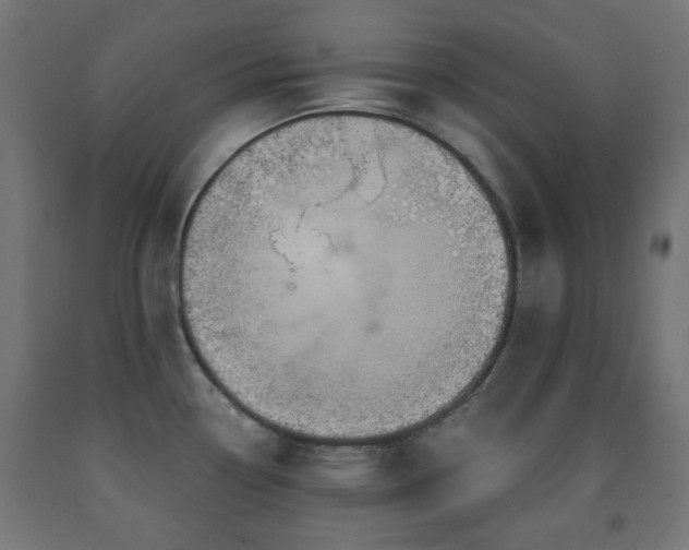 X0000093141338200709261417