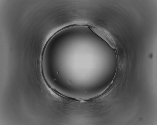 X0000093141343200709261417