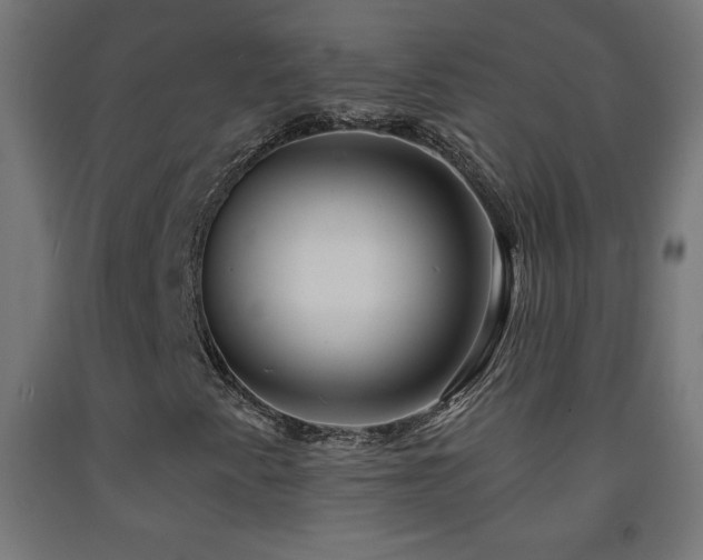 X0000093141345200709261416