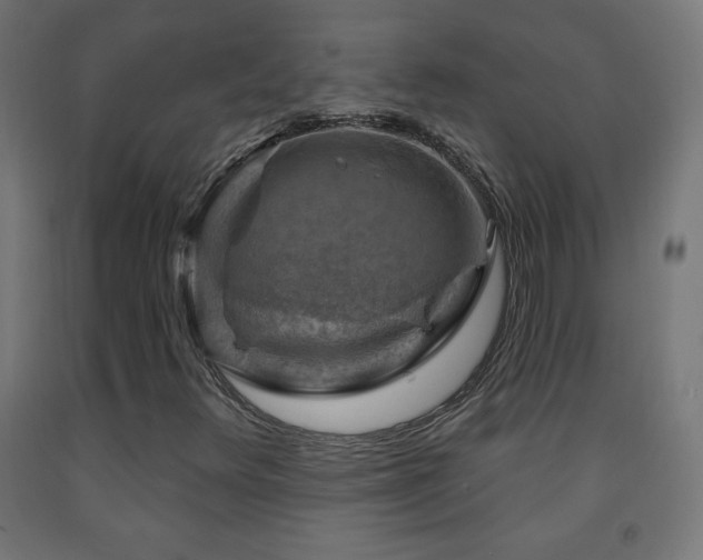 X0000093141348200709261416
