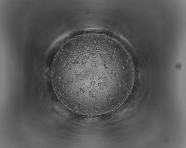 X0000093141351200709261416