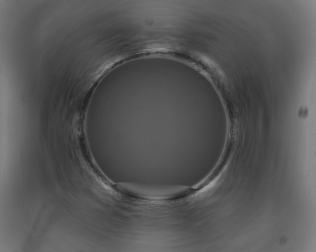 X0000093141353200709261416